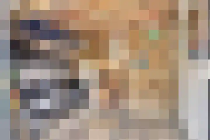 Schuberthof 19 Waddinxveen thumbnail 35