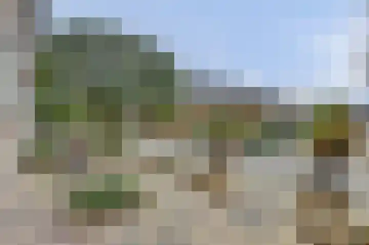 Schuberthof 19 Waddinxveen thumbnail 37