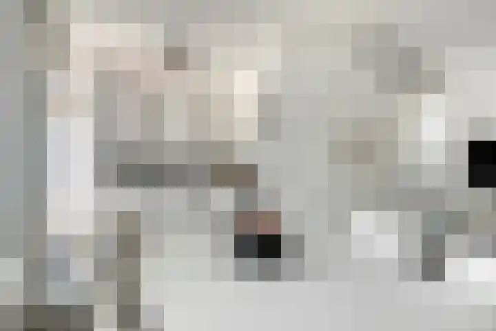 Schuberthof 21 Terneuzen thumbnail 10