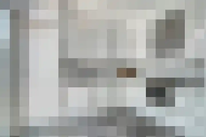 Schuberthof 21 Terneuzen thumbnail 11
