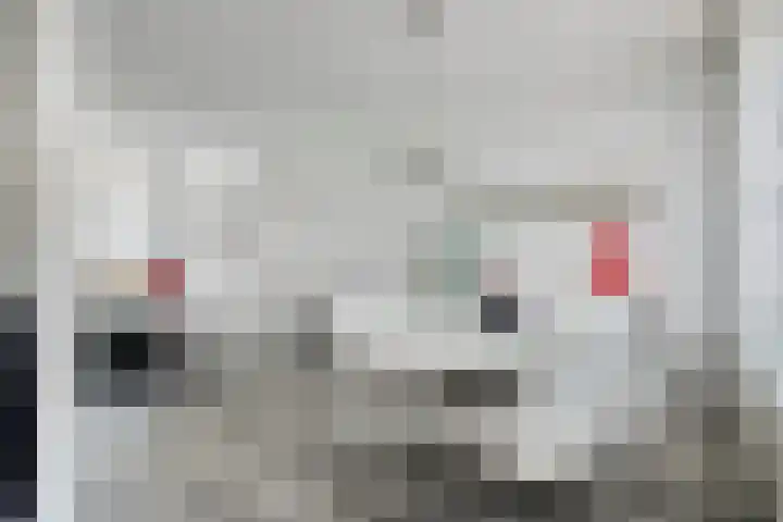 Schuberthof 21 Terneuzen thumbnail 13