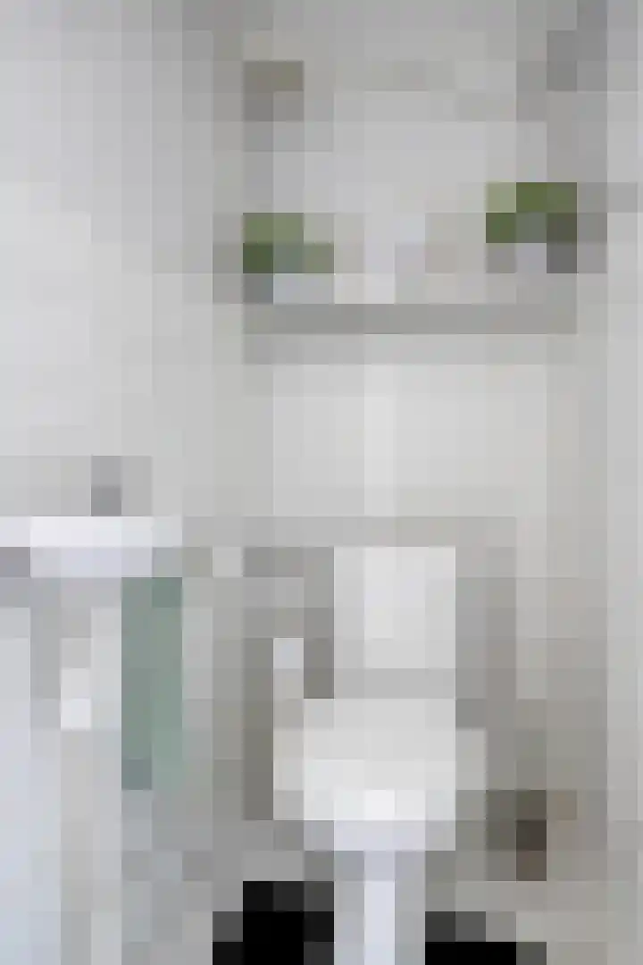 Schuberthof 21 Terneuzen thumbnail 14