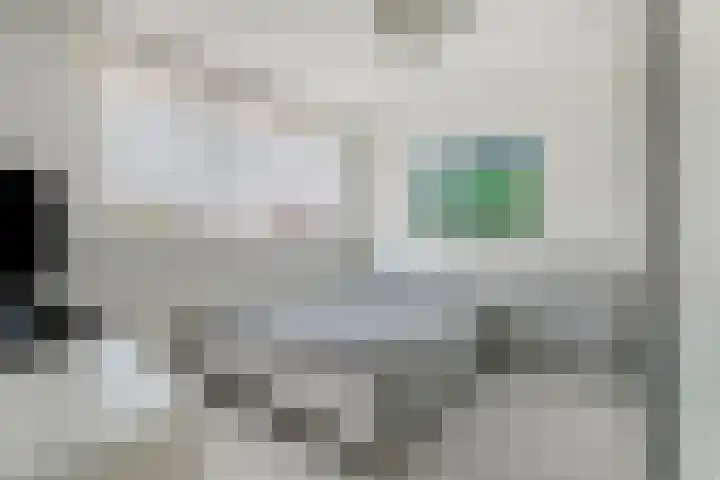 Schuberthof 21 Terneuzen thumbnail 16