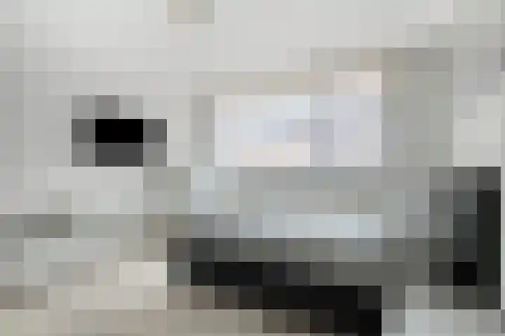 Schuberthof 21 Terneuzen thumbnail 17
