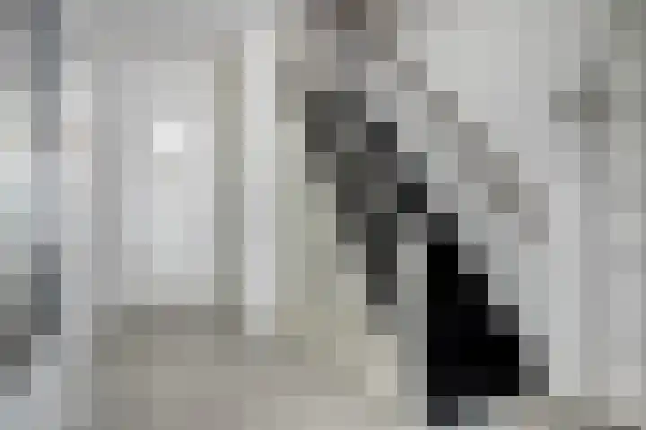 Schuberthof 21 Terneuzen thumbnail 4