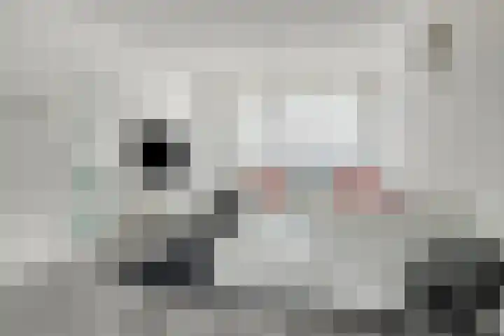 Schuberthof 21 Terneuzen thumbnail 7