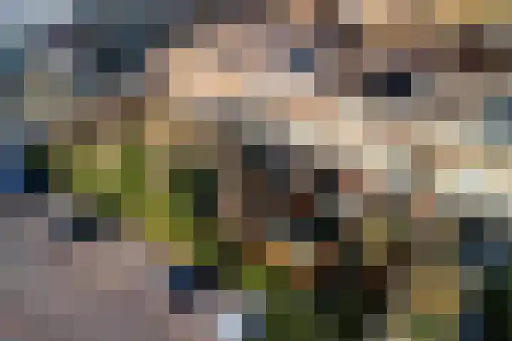 Schuberthof 33 Alphen aan den Rijn thumbnail 54