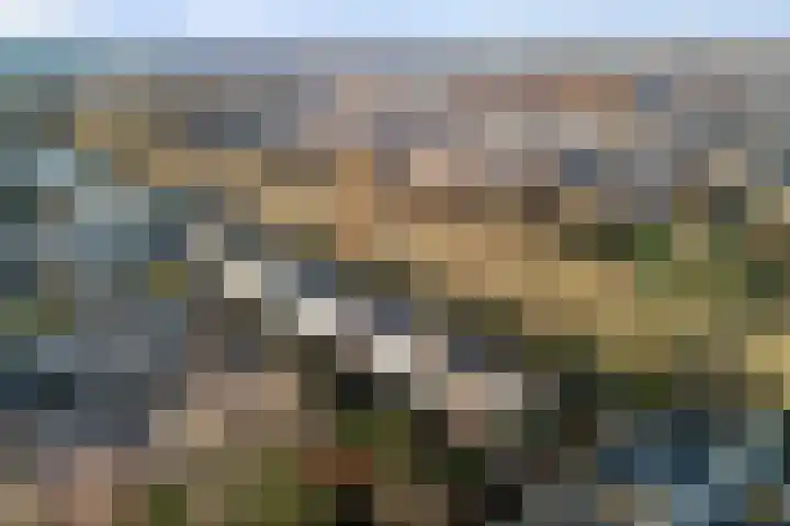 Schuberthof 33 Alphen aan den Rijn thumbnail 57