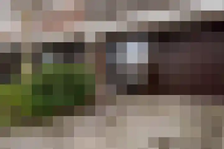 Schuberthof 33 Alphen aan den Rijn thumbnail 7