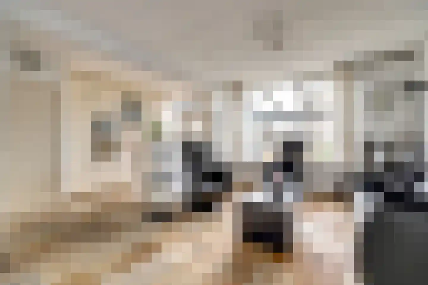 Schuberthof 34 Waddinxveen thumbnail 11