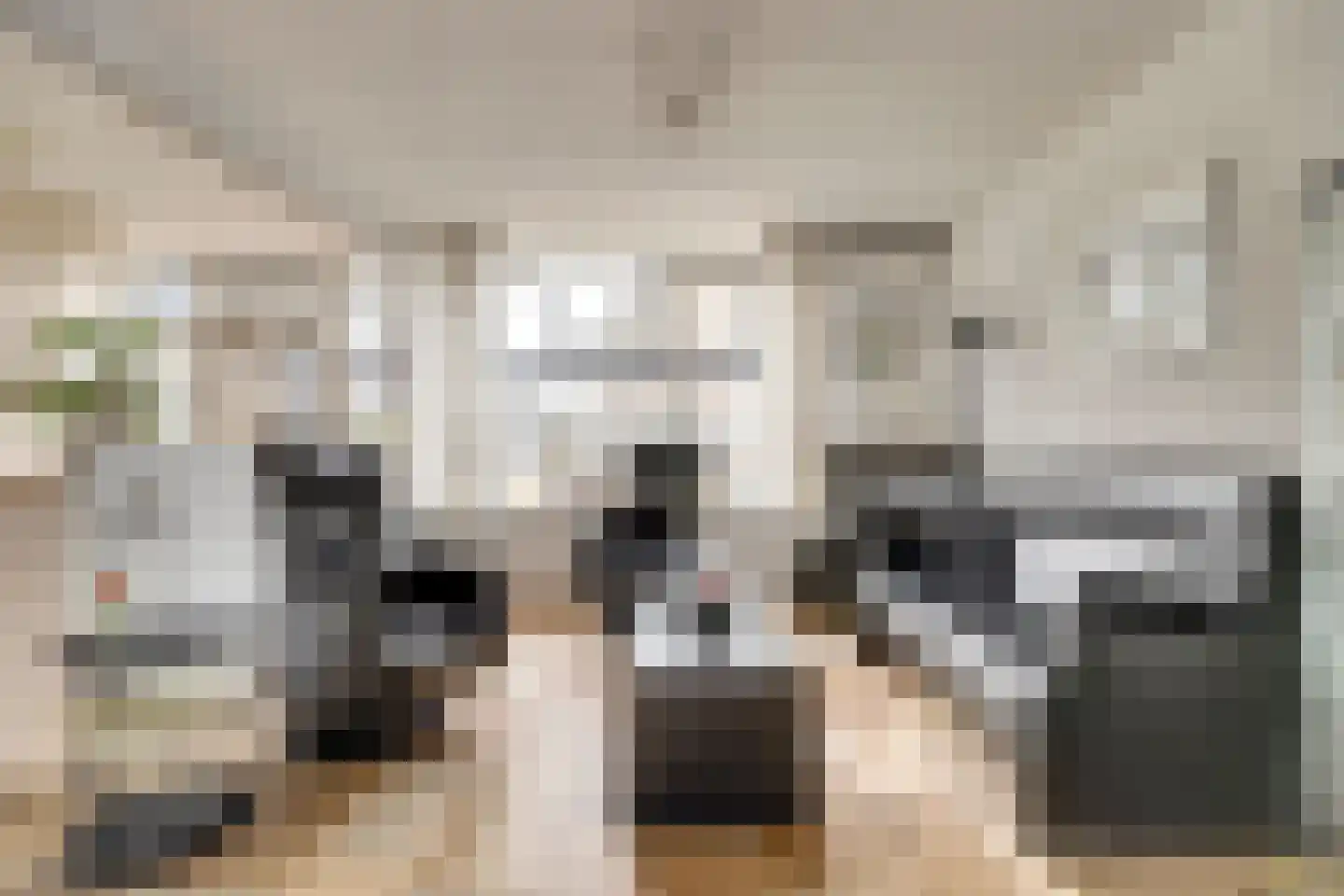 Schuberthof 34 Waddinxveen thumbnail 12