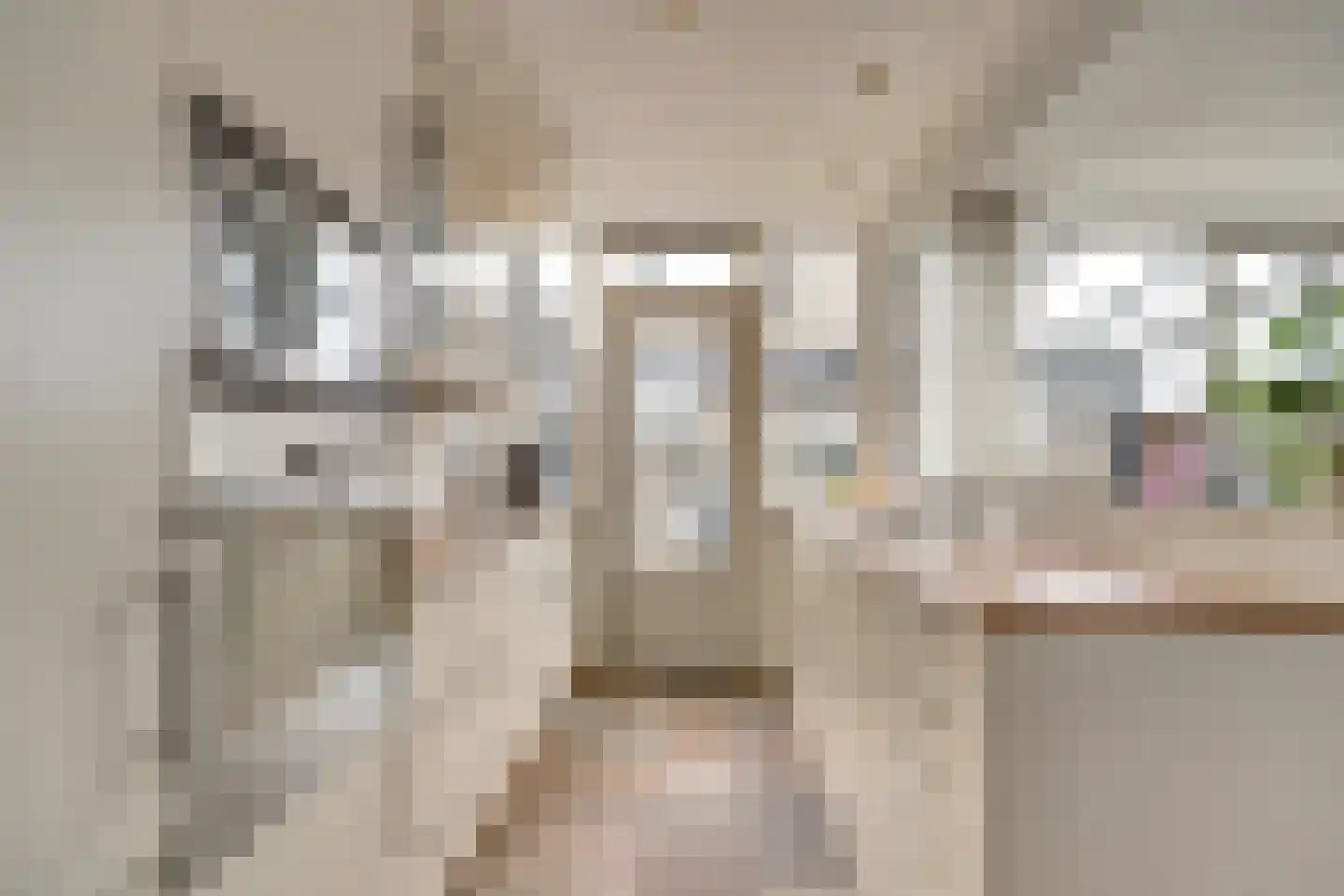 Schuberthof 34 Waddinxveen thumbnail 16