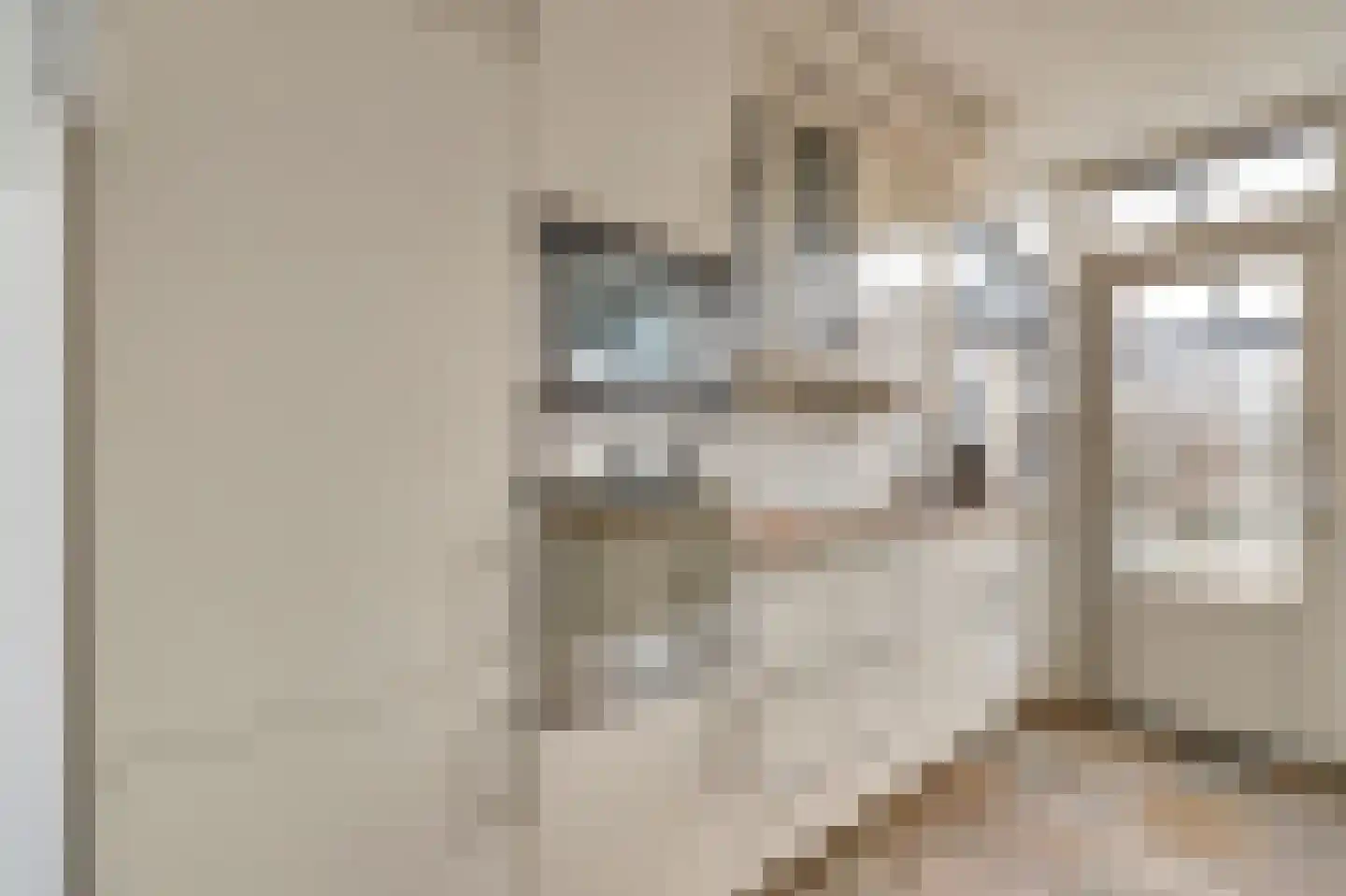 Schuberthof 34 Waddinxveen thumbnail 17