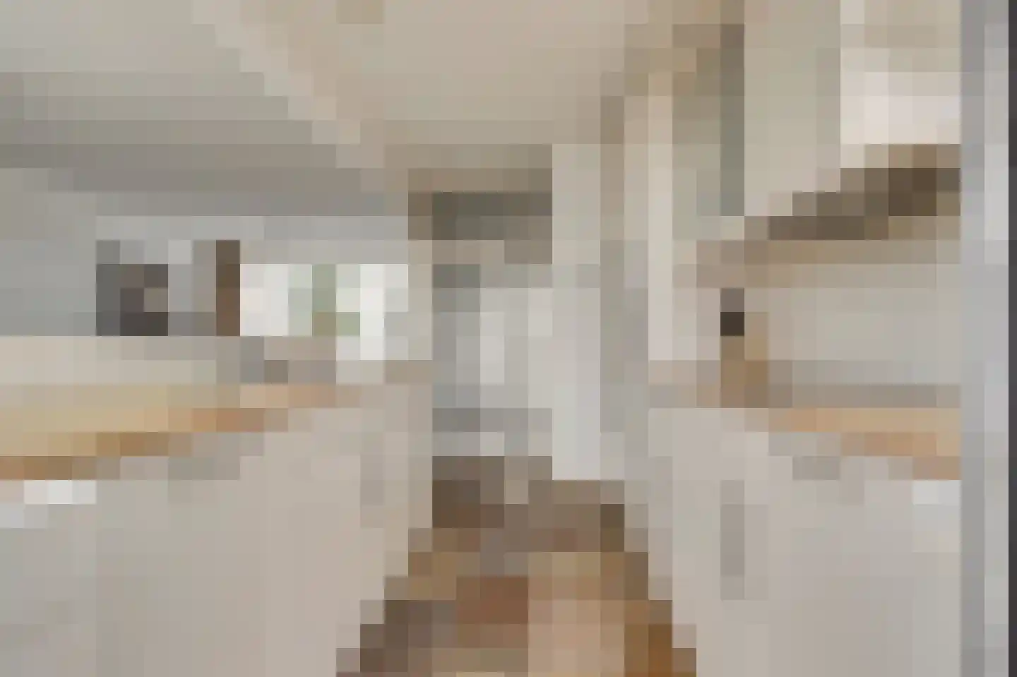 Schuberthof 34 Waddinxveen thumbnail 18