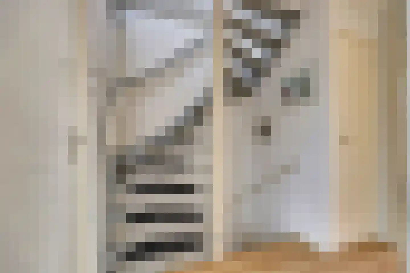 Schuberthof 34 Waddinxveen thumbnail 19
