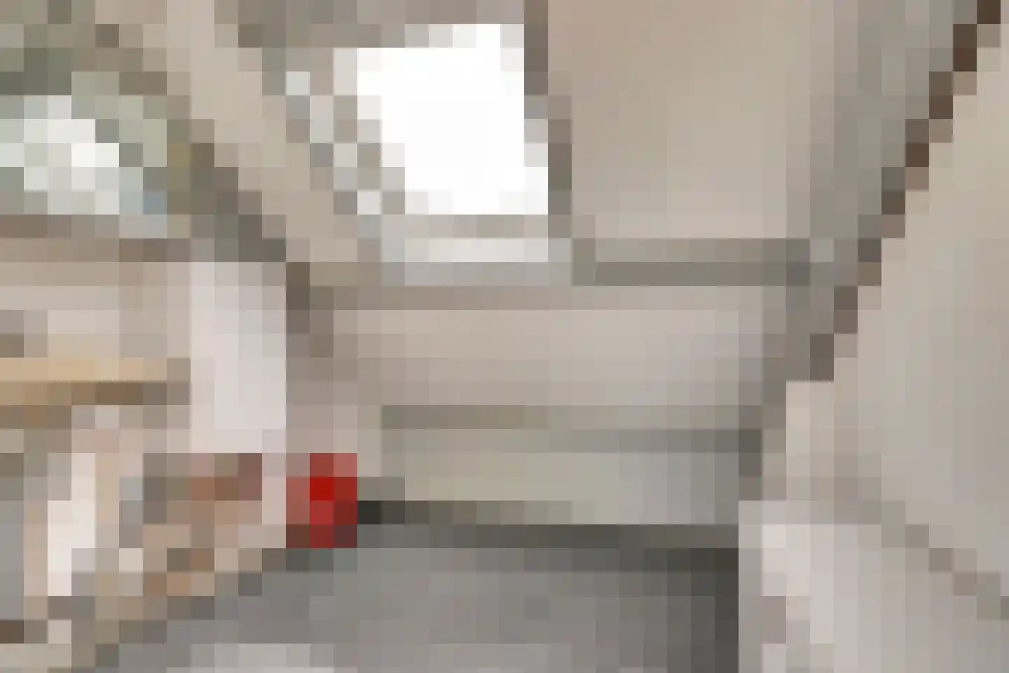 Schuberthof 34 Waddinxveen thumbnail 30