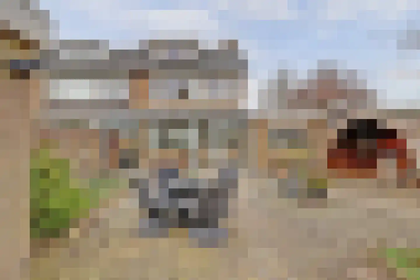Schuberthof 34 Waddinxveen thumbnail 34