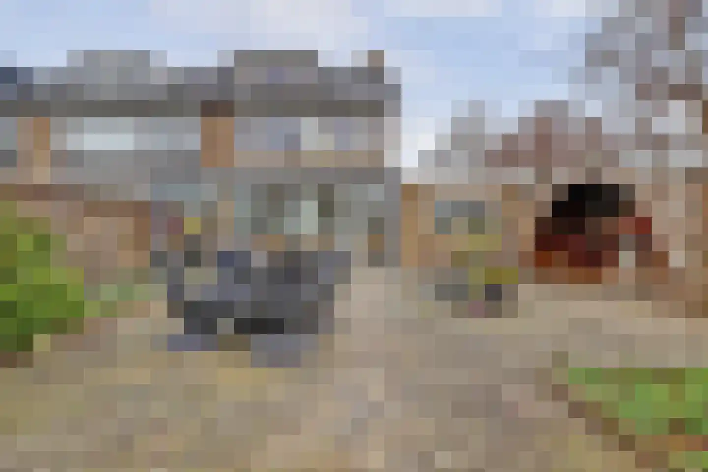 Schuberthof 34 Waddinxveen thumbnail 4