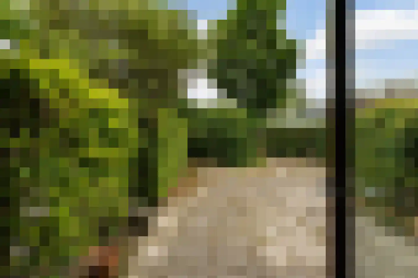 Schuberthof 39 Alphen aan den Rijn thumbnail 10