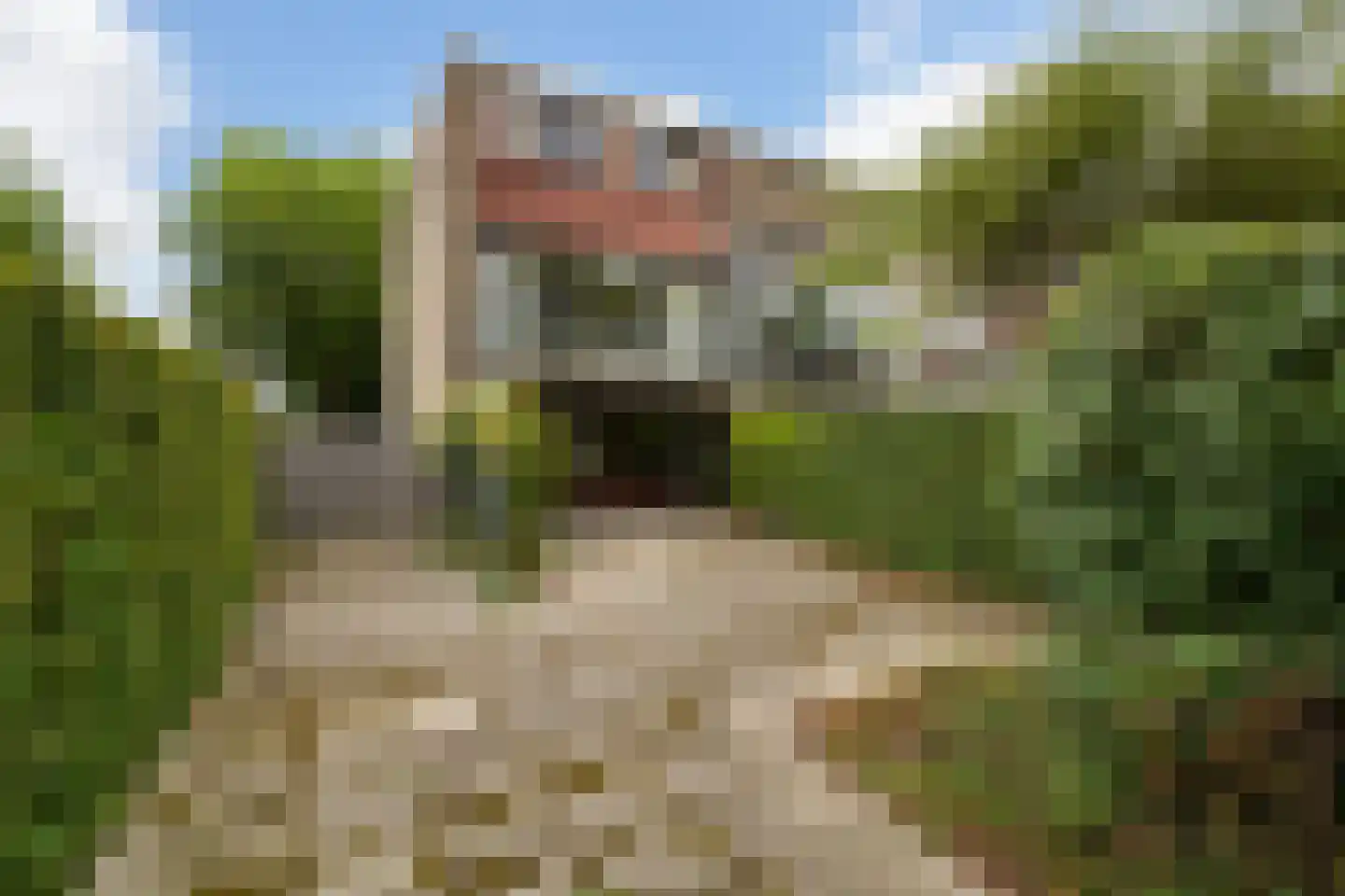 Schuberthof 39 Alphen aan den Rijn thumbnail 11
