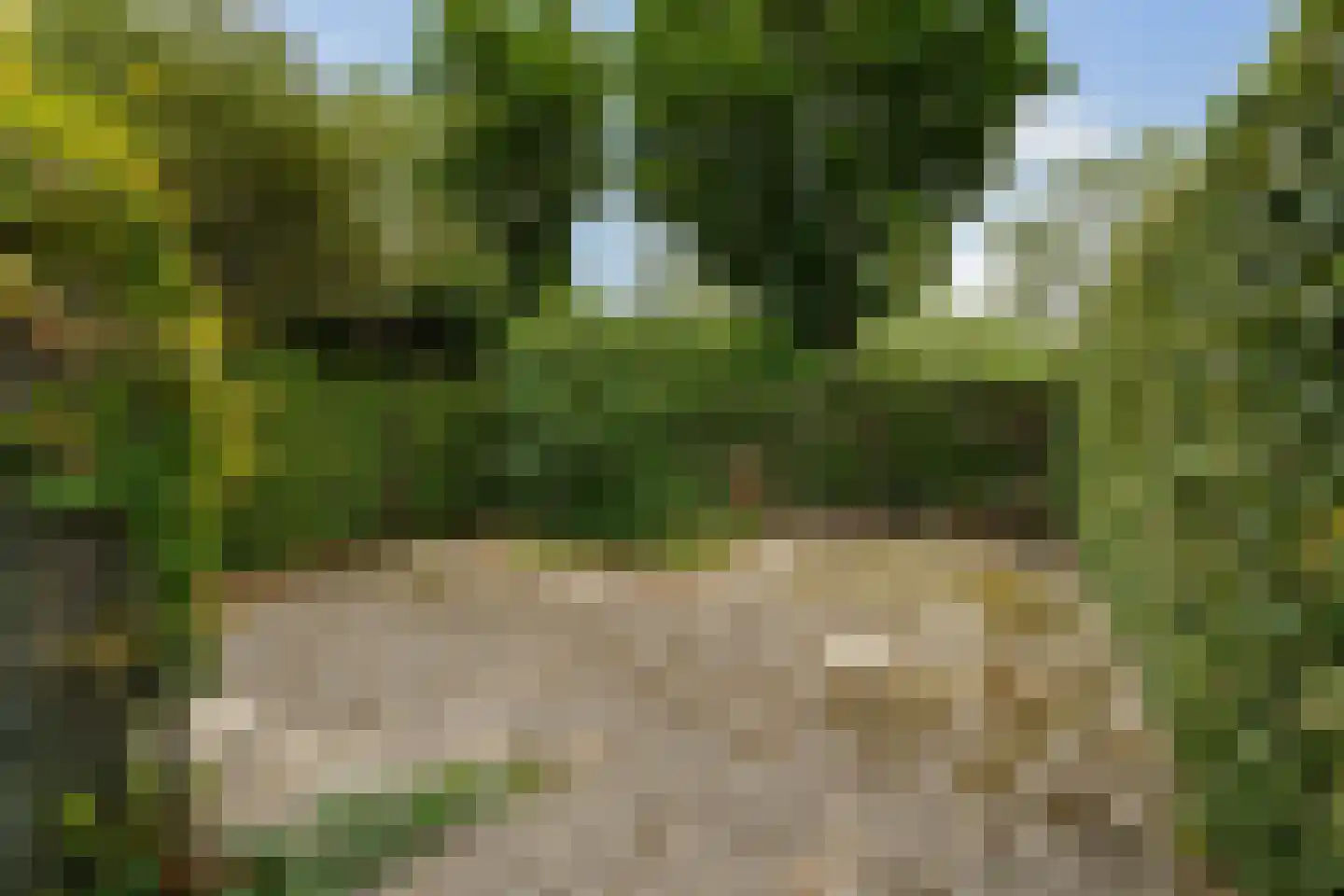 Schuberthof 39 Alphen aan den Rijn thumbnail 12