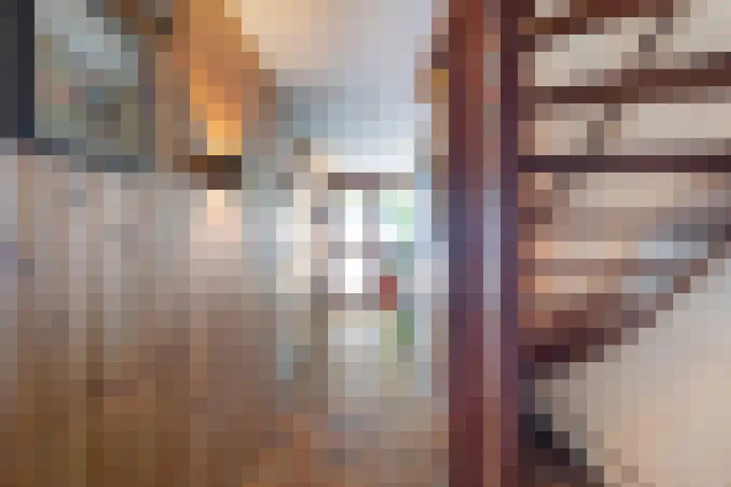 Schuberthof 39 Alphen aan den Rijn thumbnail 8