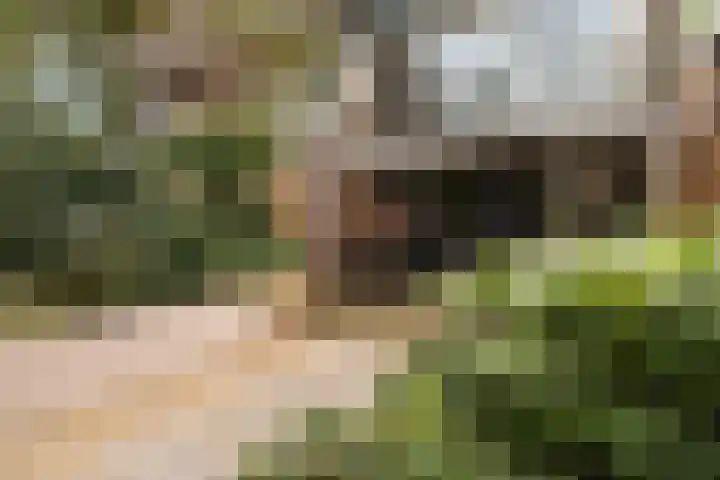 Schuberthof 6 Alphen aan den Rijn thumbnail 23
