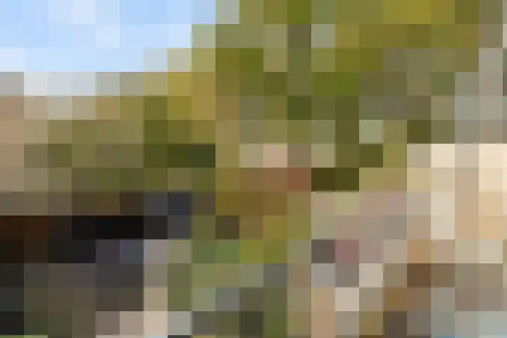 Schuberthof 6 Alphen aan den Rijn thumbnail 35