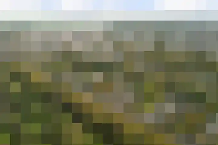 Schuberthof 6 Alphen aan den Rijn thumbnail 4