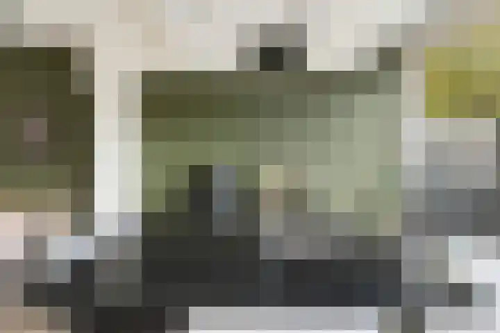 Schuberthof 6 Alphen aan den Rijn thumbnail 41