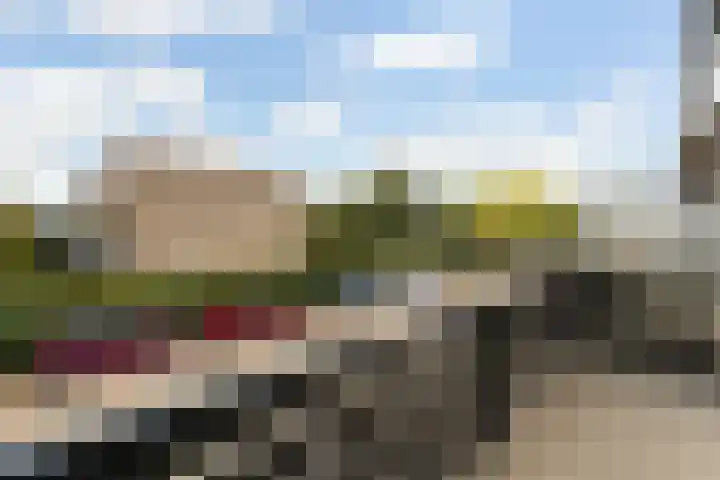 Schuberthof 6 Alphen aan den Rijn thumbnail 45
