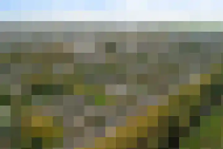 Schuberthof 6 Alphen aan den Rijn thumbnail 56