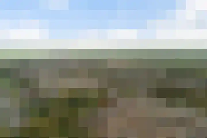 Schuberthof 6 Alphen aan den Rijn thumbnail 57