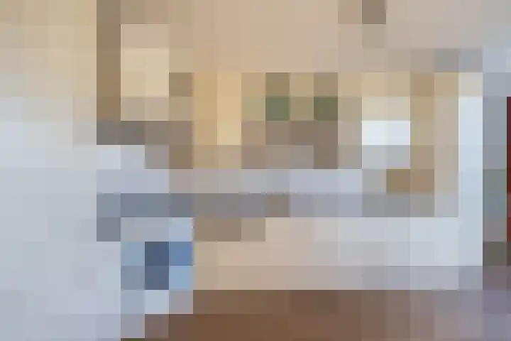 Schuberthof 61 Waddinxveen thumbnail 14