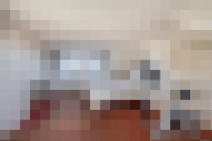 Schuberthof 61 Waddinxveen thumbnail 25