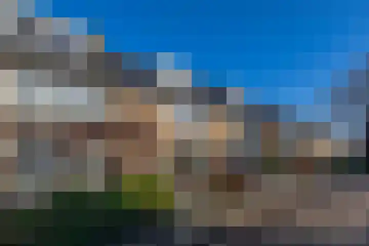 Schuberthof 61 Waddinxveen thumbnail 27