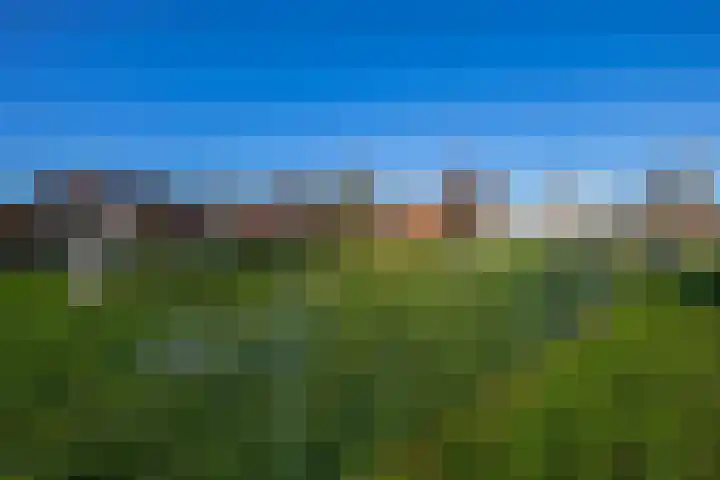 Schuberthof 61 Waddinxveen thumbnail 30