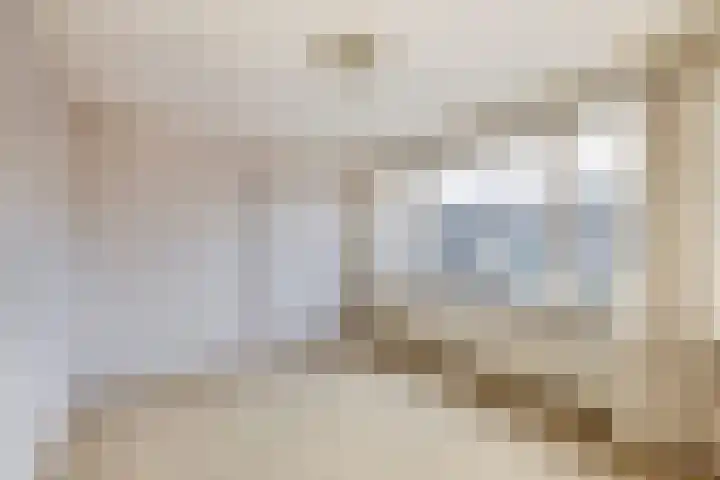 Schuberthof 69 Waddinxveen thumbnail 15