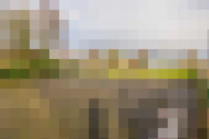 Schuberthof 69 Waddinxveen thumbnail 30