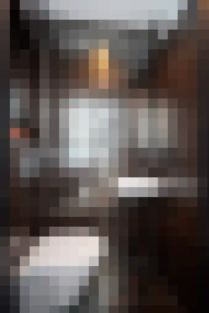 Schuberthof 82 Terneuzen thumbnail 6