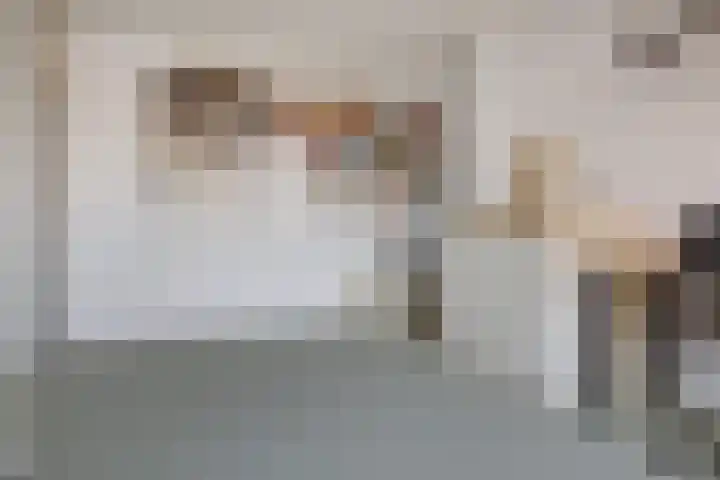 Schubertkade 16 Alkmaar thumbnail 33