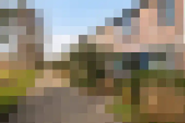 Schubertkade 16 Alkmaar thumbnail 8