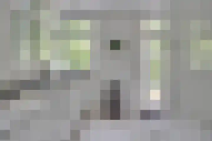 Schubertlaan 1 Bilthoven thumbnail 11