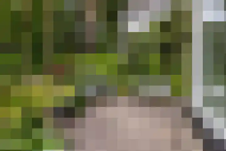 Schubertlaan 1 Bilthoven thumbnail 27