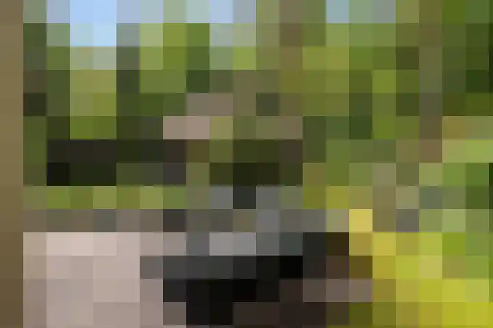 Schubertlaan 1 Bilthoven thumbnail 29