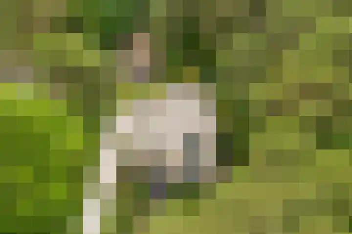 Schubertlaan 1 Bilthoven thumbnail 33
