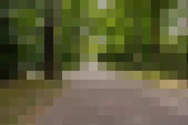 Schubertlaan 1 Bilthoven thumbnail 35