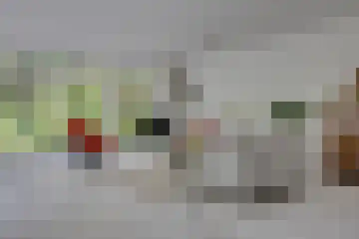 Schubertlaan 1 Bilthoven thumbnail 7