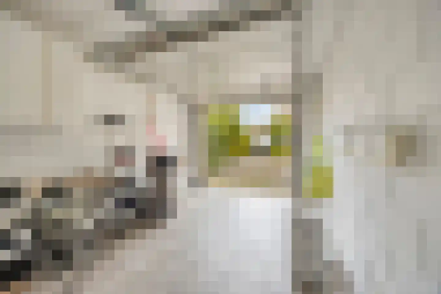 Schubertlaan 1 Helmond thumbnail 26