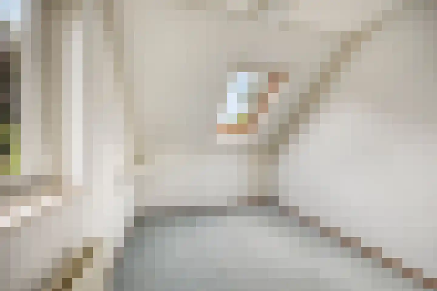 Schubertlaan 1 Helmond thumbnail 31